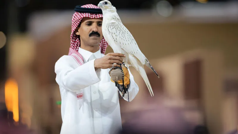 صفقة تاريخية في مزاد الصقور 2025.. بيع صقر بـمبلغ غير مسبوق