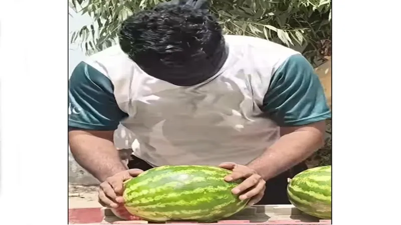 رجل معصوب العينين يحطم 32 بطيخة برأسه في دقيقة ويدخل موسوعة غينيس (فيديو)