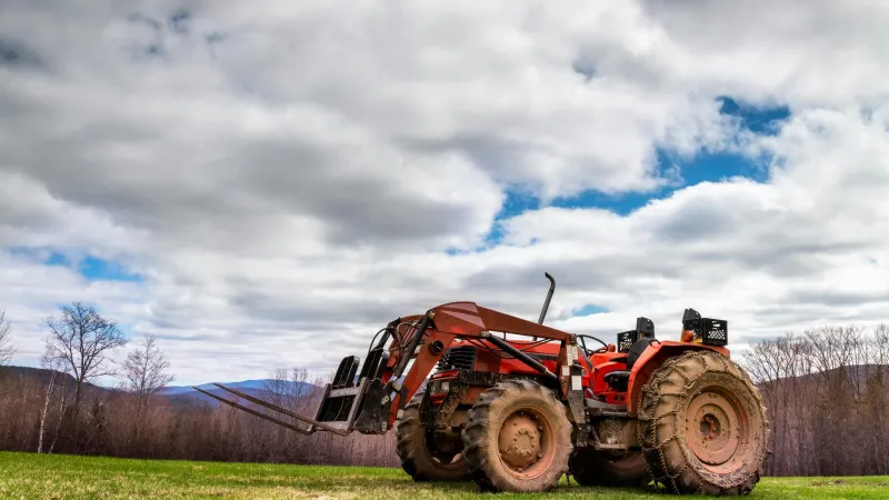 السعودية تُمطر صيفًا: إنجاز علمي يسجل أول نجاح لبرنامج استمطار السحب 