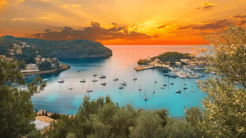 فصول للتاريخ والتذوق وللحلم: العالم كتاب مفتوح.. فأي حكاية تجذبك؟