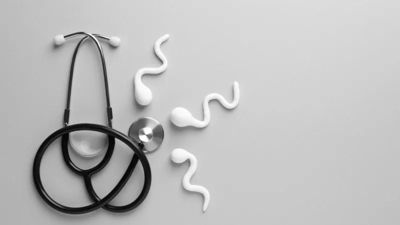 دراسة تكشف العلاقة بين البلاستيك وضعف خصوبة الرجال