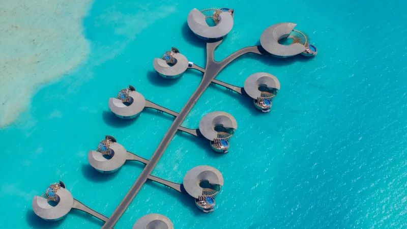 وجهة البحر الأحمر تحتفل باليوم الوطني الـ95 بأنشطة وتجارب لا تُنسى