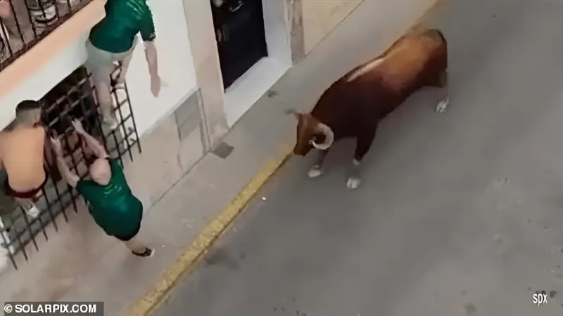 مأساة في مهرجان إسباني: ثور هائج يقتل شخصًا بعد محاولة يائسة للهروب (فيديو)