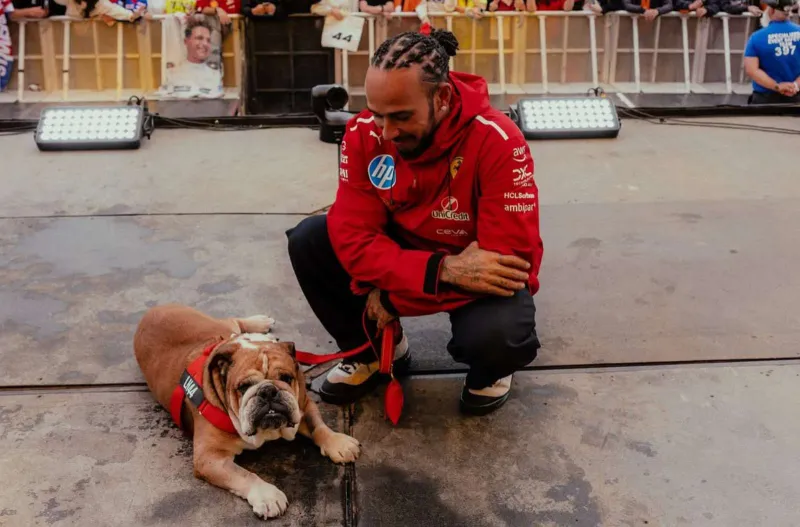 تعاطف عالمي مع لويس هاميلتون بعد أزمة كلبه الصحية (تفاصيل)