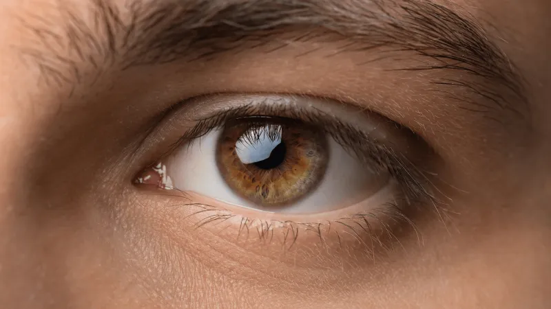 الزرقاء ليست زرقاء! حقائق مثيرة عن ألوان العيون