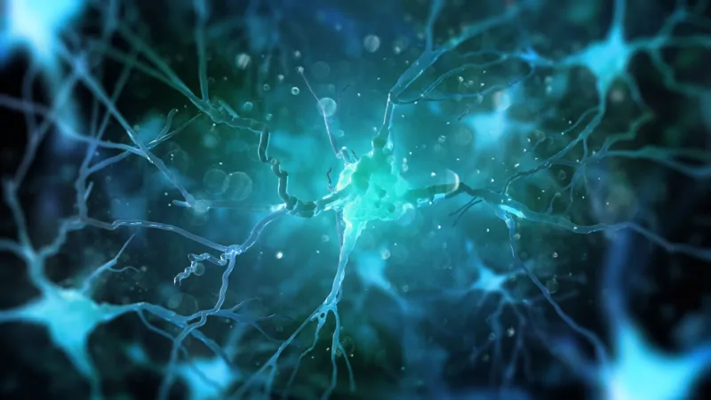 دراسة جديدة تكشف كيف يحول الدماغ التجارب اليومية إلى ذكريات دائمة