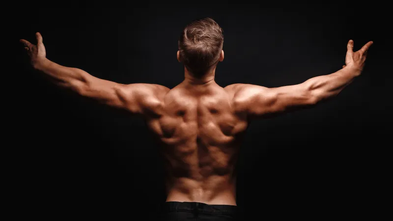 متى يمكن ملاحظة النتائج الحقيقية لتدريب الأثقال؟