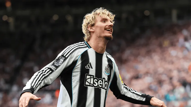 نيوكاسل يحقق الفوز على ولفرهامبتون بأقدام هدافه الجديد فولتماده (فيديو)