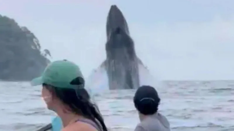 مشهد هوليوودي في قلب المحيط.. كاياكرز يواجهون قفزة حوت مفاجئة (فيديو)