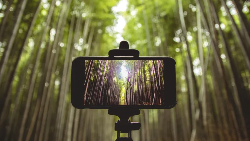 حادثة مروعة في روسيا.. أم تسقط من ارتفاع 290 قدم أمام ابنها (فيديو)