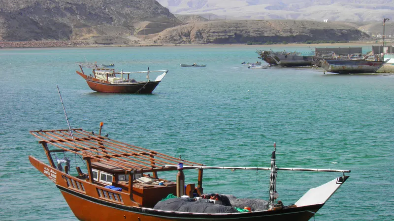 لحظة مرعبة: هجوم الحيتان القاتلة يتسبب بغرق يخت سياحي