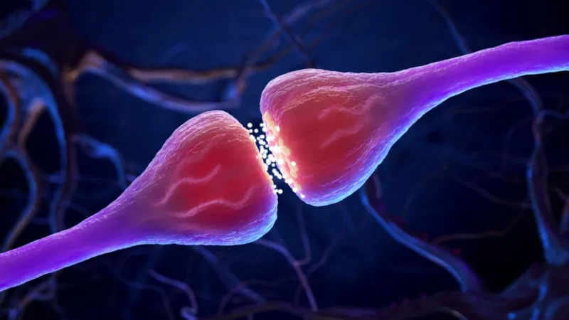 دراسة علم الأعصاب: الكلمة أقوى من المظهر عند تكوين الانطباعات