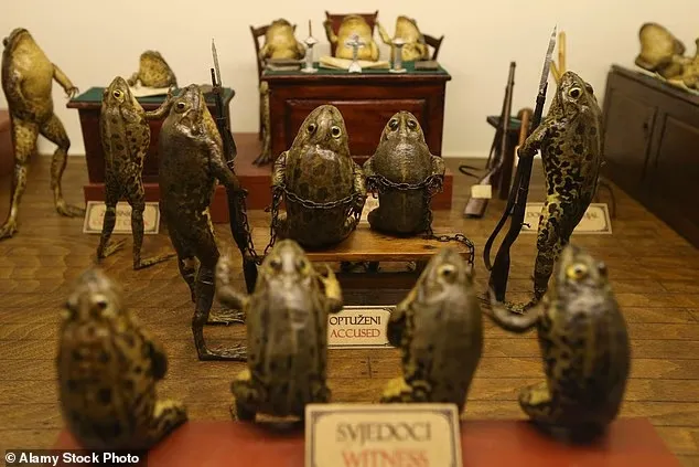 أغرب متحف في أوروبا.. "فروغي لاند" يحوّل الضفادع إلى شخصيات واقعية (فيديو)