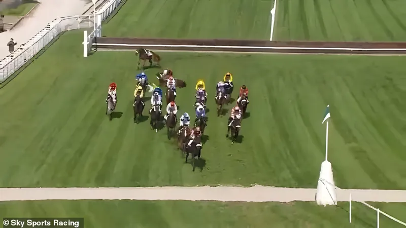 سقوط مروّع للفارس دي جايلز في فرنسا.. كسور متعددة تُنهي موسمه (فيديو)