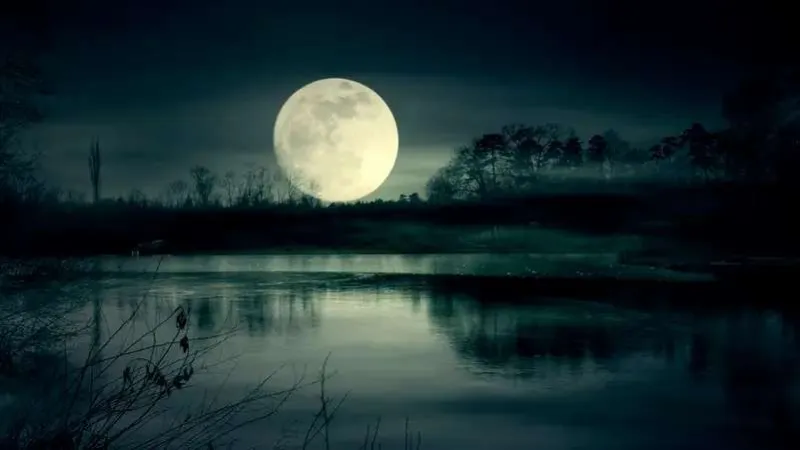 ليلة القمر العملاق: بدر الحضيض يزين سماء نوفمبر