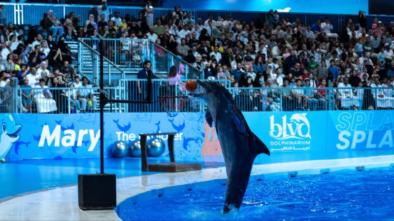 طرق حجز تذاكر بوليفارد دولفيناريوم في موسم الرياض 2025