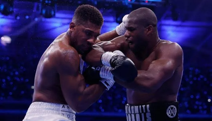 بعد غياب عام كامل منذ خسارته.. جوشوا يستعد لمعركة أفريقية في 2026