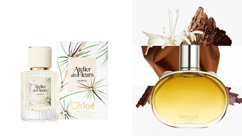 نفحات هذا الخريف: التوابل والأخشاب تشعل الحواس