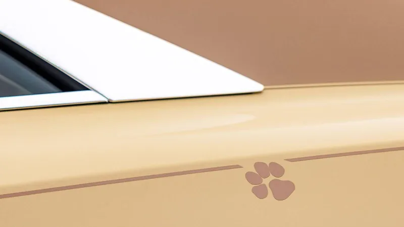 رجل يخلّد ذكرى كلبه داخل مقصورة رولز-رويس سبيكتر