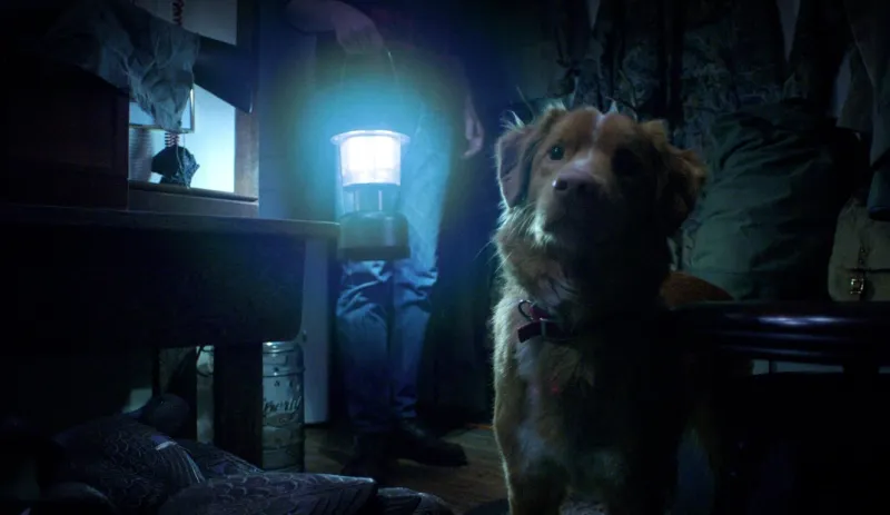 قبل عرضه في دور السينما السعودية.. تعرف على قصة وأبطال فيلم Good Boy