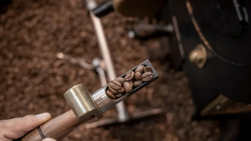 في اليوم العالمي للقهوة: استكشف أغلى أنواعها وطرق إنتاجها الفريدة