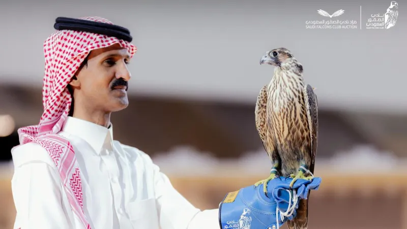 مزاد الصقور السعودي.. بيع شاهين فرخ بسعر 105 آلاف ريال في الرياض