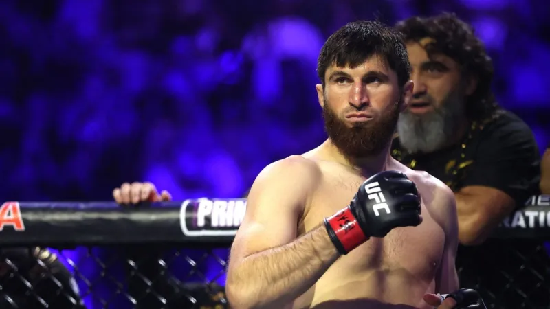 ماجوميد أنكالاييف يحقق قفزة مالية ضخمة قبل نزال لقب الوزن الخفيف الثقيل