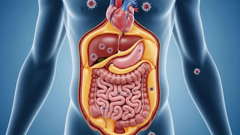 سبب  غير متوقع وراء السرطان وأمراض القلب