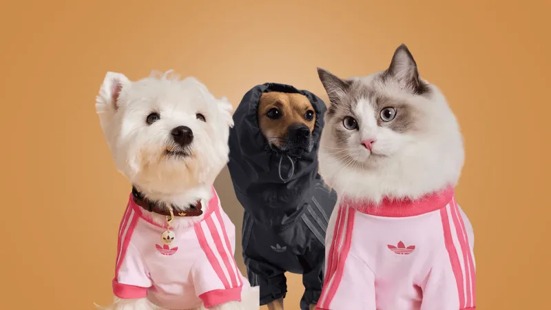 أديداس توسع مجموعة الحيوانات الأليفة مع إصدارات خريفية أنيقة وعملية (صور)