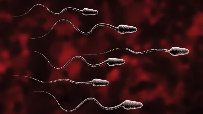 كيف يؤثر كوفيد على الصحة الإنجابية؟ دراسة جديدة تثير القلق