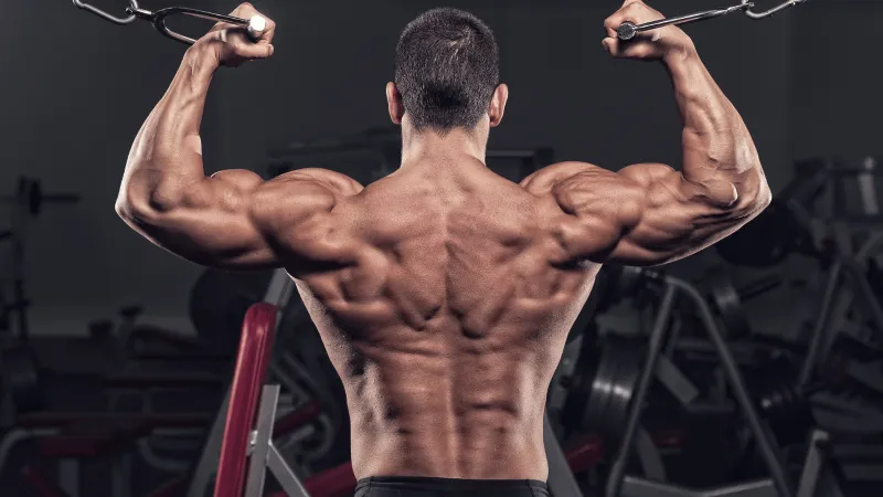 لن تتصور النتيجة.. دراسة تكشف التمرين الأفضل لتضخيم البايسبس