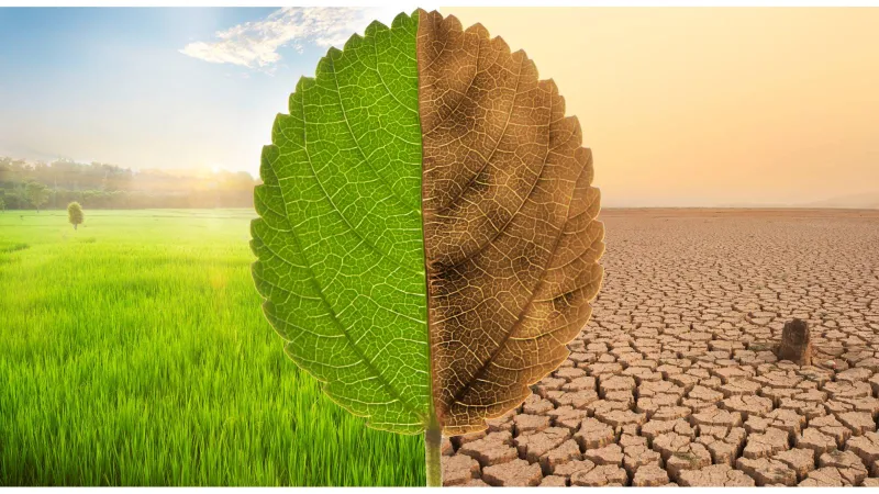 الأرض تفقد توازنها الشمسي: ناسا تكشف الخطر على الشمال والجنوب