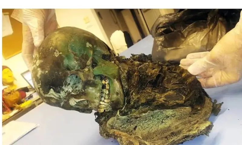 لغز قرون يُحل أخيراً.. سر المومياء الخضراء في تابوت نحاسي عمره 400 سنة