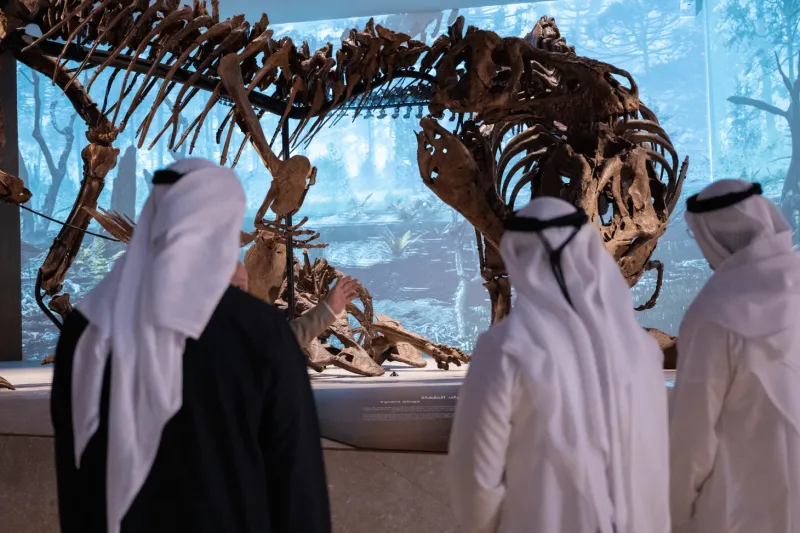 متحف التاريخ الطبيعي أبوظبي.. رحلة عبر 13.8 مليار عام من تاريخ الكون