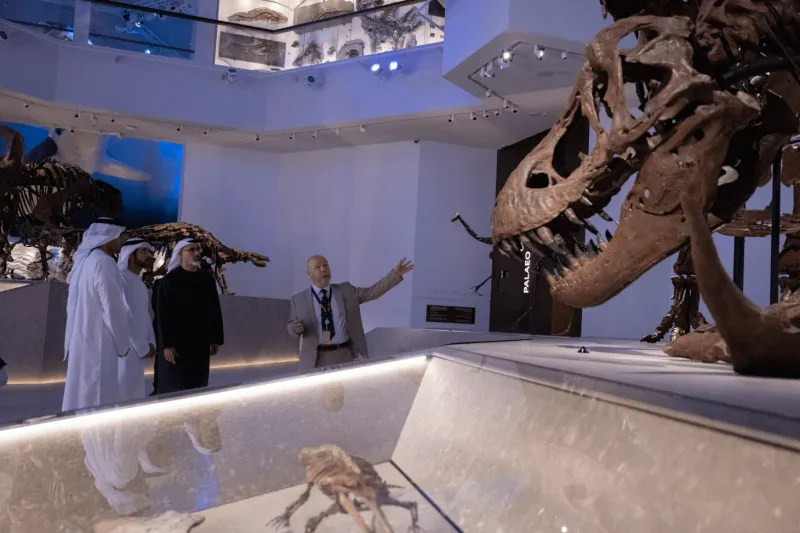 متحف التاريخ الطبيعي أبوظبي.. رحلة عبر 13.8 مليار عام من تاريخ الكون