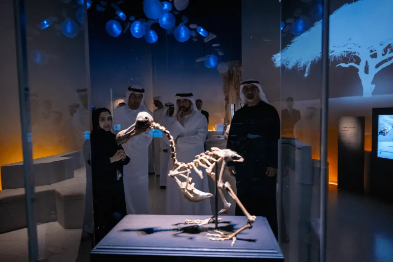 متحف التاريخ الطبيعي أبوظبي.. رحلة عبر 13.8 مليار عام من تاريخ الكون