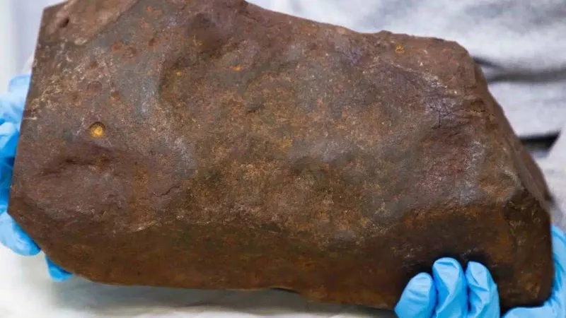 صخرة عادية تتحول إلى اكتشاف بقيمة مليارات الدولارات في أستراليا