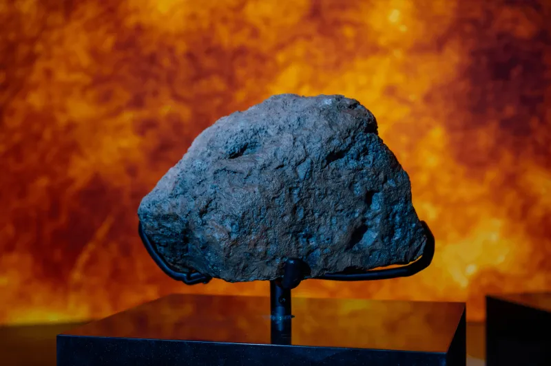 متحف التاريخ الطبيعي أبوظبي.. رحلة عبر 13.8 مليار عام من تاريخ الكون