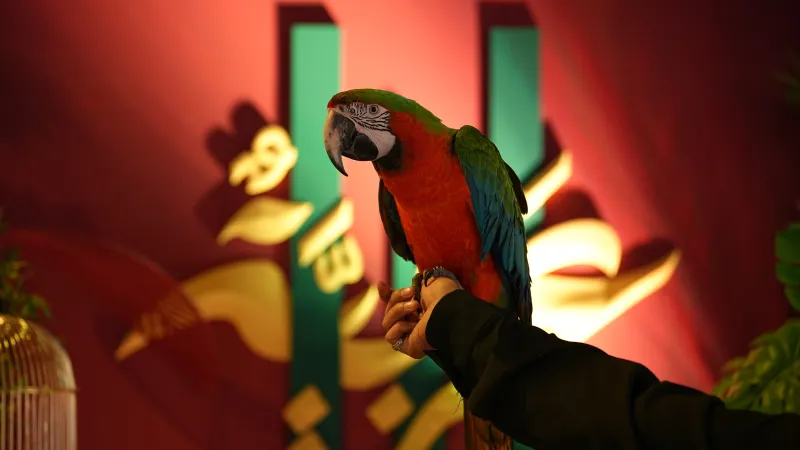 إقبال لافت على معرض "أنا عربية".. انطلاقة أنيقة ضمن موسم الرياض 2025