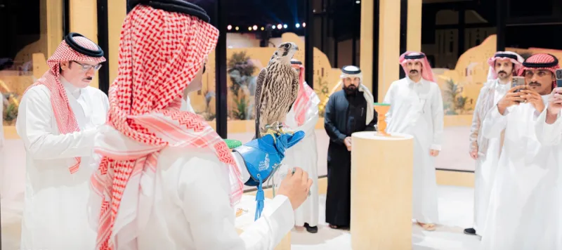 في ملهم.. بيع صقرين بمزاد الصقور السعودي بقيمة 200 ألف ريال (فيديو)