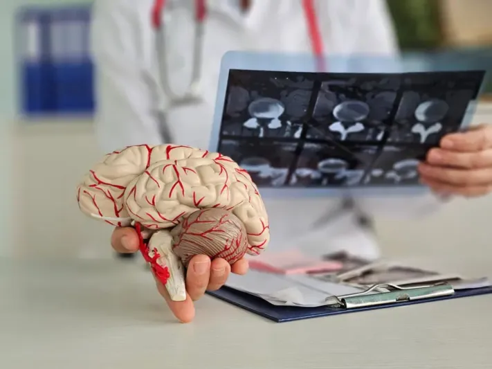 هل أصبح فك شفرة الدماغ البشري واقعًا؟