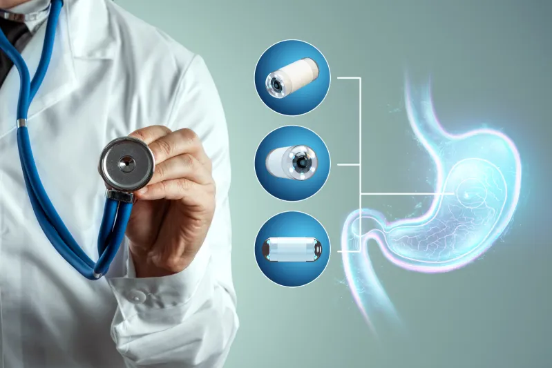  دراسة تكشف تأثير الأطعمة الدهنية على التواصل بين الأمعاء والدماغ