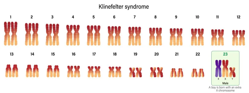 اكتشاف سلالة بشرية جديدة في الأرجنتين عمرها 8 آلاف عام