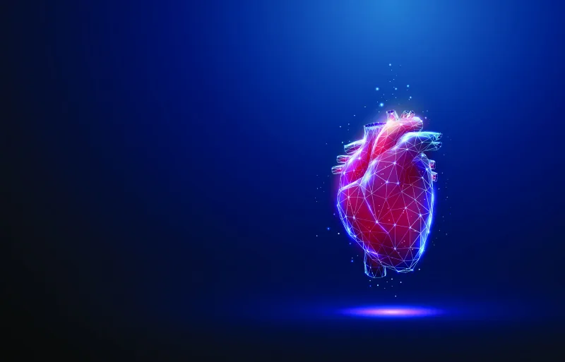 المايسترو الخفي: كيف يتحكّم المغنيسيوم في إيقاع قلبك؟