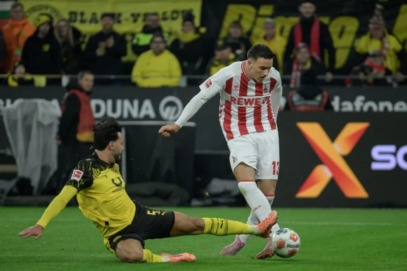  برايتون يطارد نجم الدوري الألماني وليفربول ينافس توتنهام