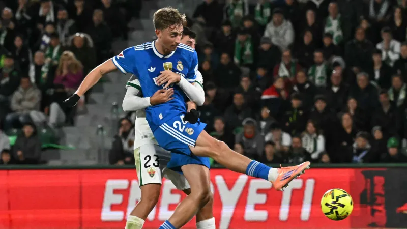 إجازة دين هويسين تتحول لصراع مع نمر! (فيديو)