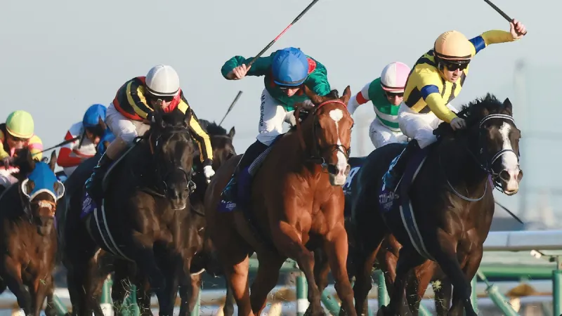 لحظة صادمة.. سقوط فارس على بُعد سنتيمترات من خط الفوز بعد اصطدام مفاجئ (فيديو)