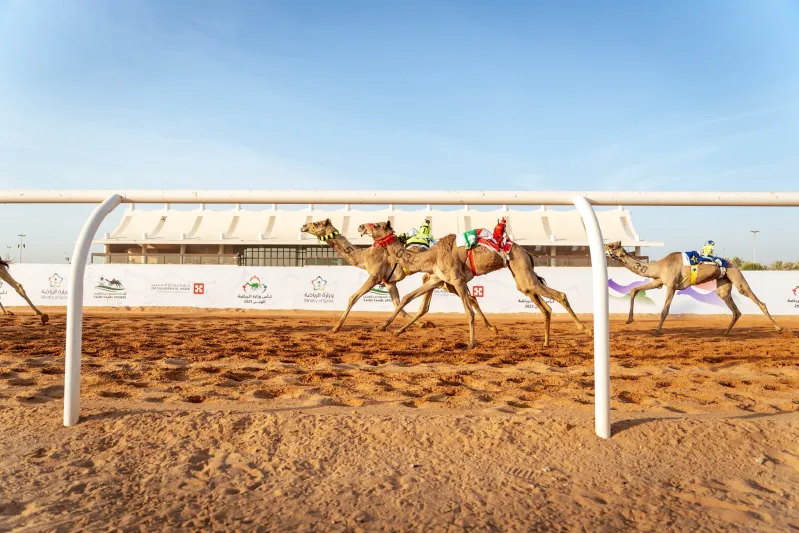 بجوائز تفوق 10 ملايين ريال .. انطلاق النسخة الخامسة لبطولة كأس وزارة الرياضة للهجن