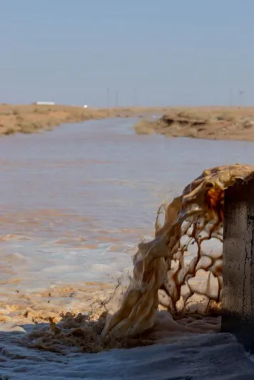 صحاري عرعر تتحول إلى وجهة شتوية مميزة بعد الأمطار