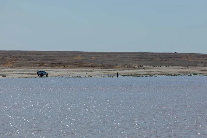 صحاري عرعر تتحول إلى وجهة شتوية مميزة بعد الأمطار